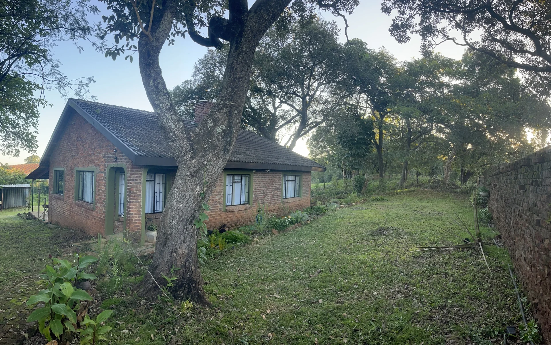 Beautiful garden view from the cottage showing lush greenery and peaceful outdoor space