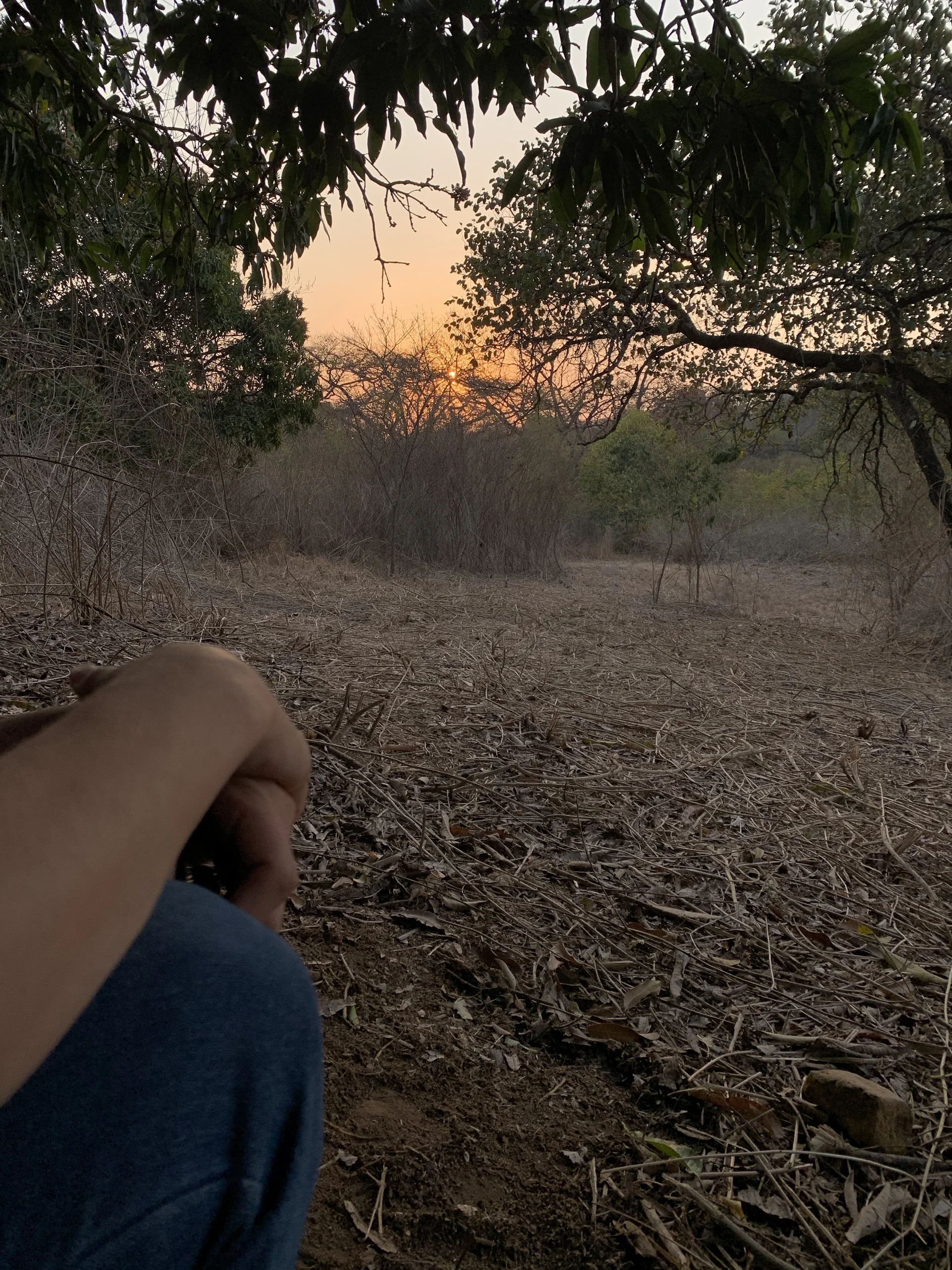 Golden sunset over the Limpopo bushveld
